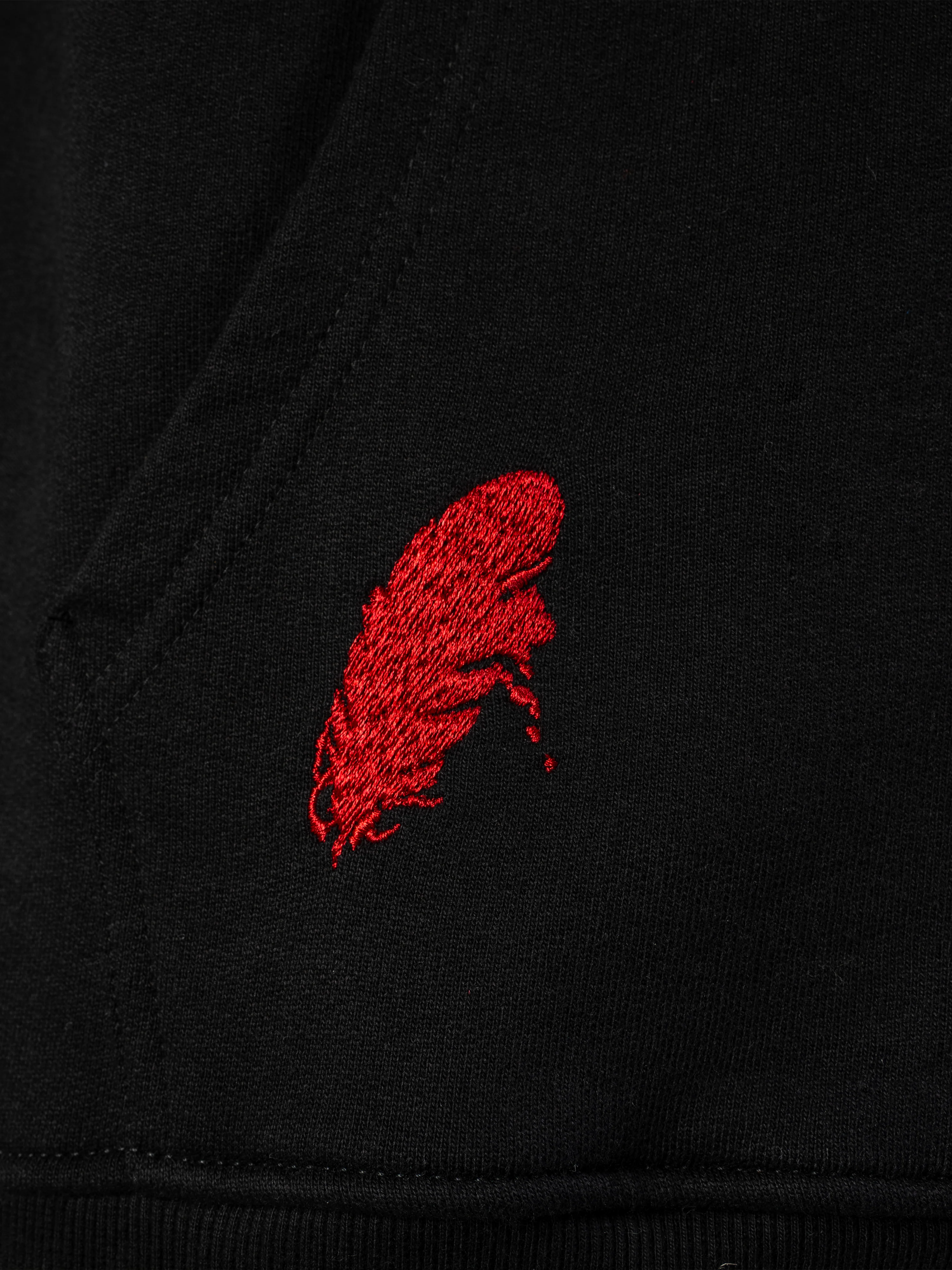Hoodie Corbeau [CONCOURS VOYAGE AU JAPON - 2 PARTICIPATIONS] - Image 5