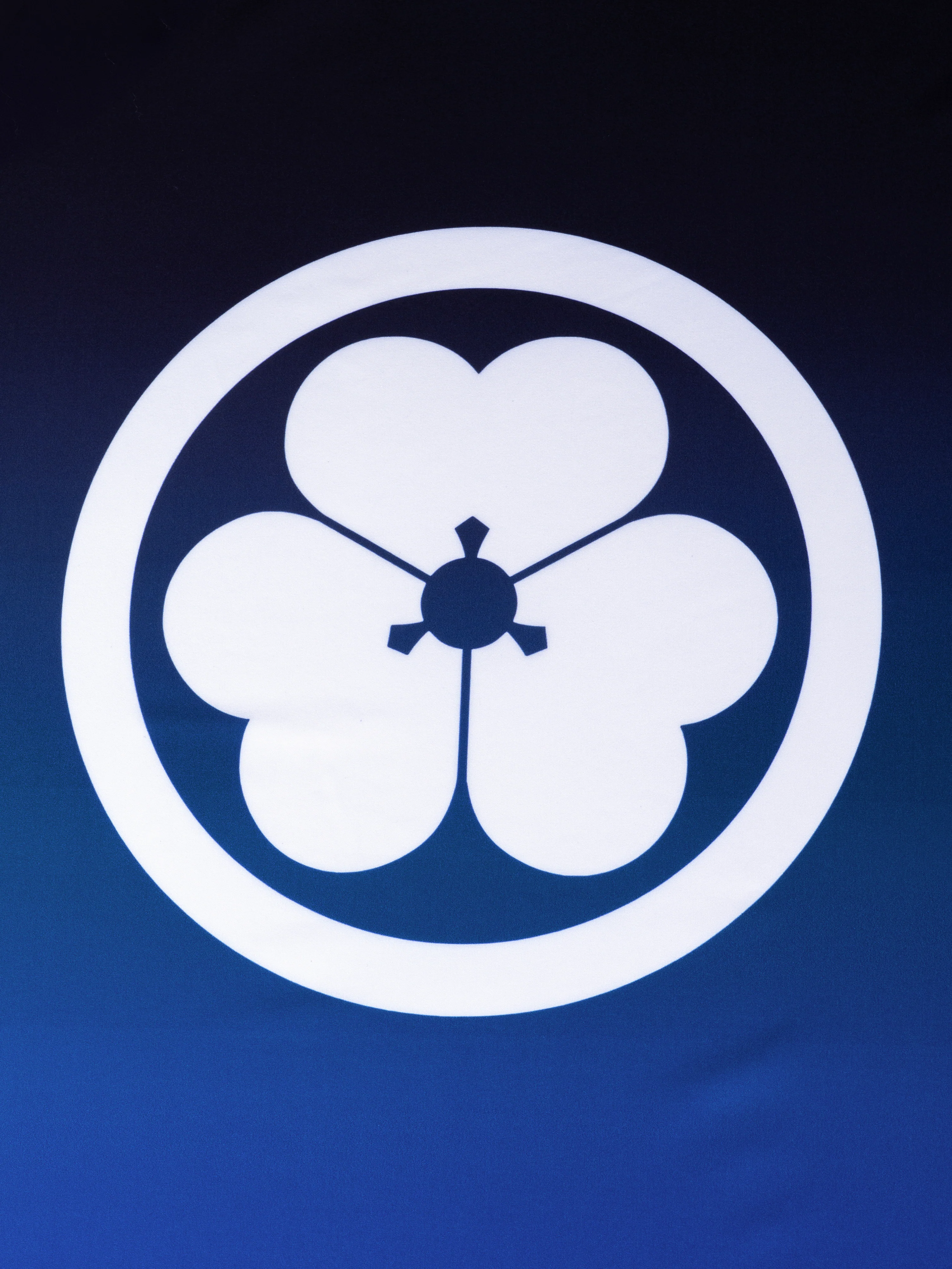 Kimono streetwear Blue Sakura - Image 6